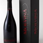 MOLVINA | Ronchi di Brescia Rosso IGP 2017 GOLD | Vino Rosso Pregiato Italiano | Vino rosso intenso. Invecchiato in botti di rovere di Slavonia fino a 60 mesi (1x 0.75 Lt Bottiglia)