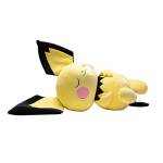 Pokemon PKW3113 - Peluche a Pelo Pichu, 45 cm