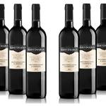 Casa Sant'Orsola - Vino Rosso Montepulciano d'Abruzzo D.O.C. 13%, Gusto Secco e Delicatamente Tannico, 6x750 ml