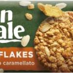 Gran Cereale Biscotti Gran Cereale Croccante con Riso, Ricchi di Fibra e Fosforo - 230 g