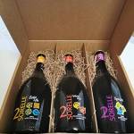 2 Sorelle Birra Artigianale Confezione Set degustazione (chiara, rossa e doppio malto) - 3x75CL