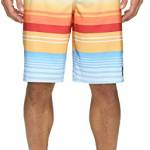 Quiksilver Men's Everyday Stripe Vee 21 Boardshort, Nasturticm, 30