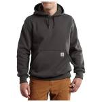 Carhartt Men's Rain Defender Paxton Heavyweight Hooded Sweatshirt, peat, X-Large