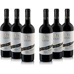 Villa Lanata - Vino Rosso - Piemonte Doc Rosso - Pacco Da 6 X 750Ml