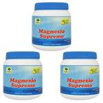 Natural Point Magnesio Supremo Polvere Solubile 300 Grammi - 3 Confezioni