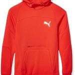 PUMA Men's Evostripe Hoody