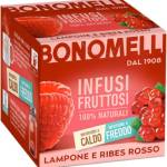 Bonomelli Infusi Fruttosi, Lampone e Ribes Rosso, Confezione da 12 filtri, Gusto Rinfrescante e Lievemente Acidulo, Infusione a Caldo e a Freddo, Ingredienti 100% Naturali