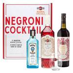 Martini Negroni Cocktail Kit Gift Set, Include Martini Riserva Speciale Rubino Vermouth 75cl, Martini Bitter 70cl, Gin Bombay Sapphire 35cl, Bicchiere Tumbler