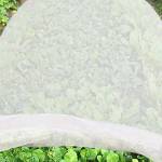 Jycra - Telo antigelo per piante, in tessuto non tessuto di alta qualità, riutilizzabile, copertura flessibile per piante da giardino e verdure, Tessuto non tessuto, bianco, 2 m x 10 m