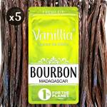 5 Baccelli di Vaniglia Bourbon - Gran Selezione del Madagascar 2023 - Baccello XL 15/18cm - Sacchetto FreshZIP