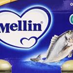 Mellin Omogeneizzato Filetto di Orata, Confezione da 2, 160g