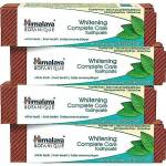 Botanique Whitening simply Mint |Prevents germs and improves Oral & Dental health |Strenghtens teeth| All Natural, Fluoride & SLS free | 100% Vegetarian and Vegan Friendly- 150g (pack of 4)