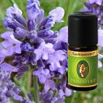 Primavera Olio profumato biologico per aromaterapia, da 5 ml, fragranza: lavanda