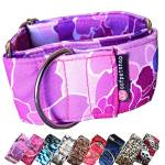 Woofpetshop® - Collare Martingale per Cani Modello STRINGLE FLUX levriero - Handmade